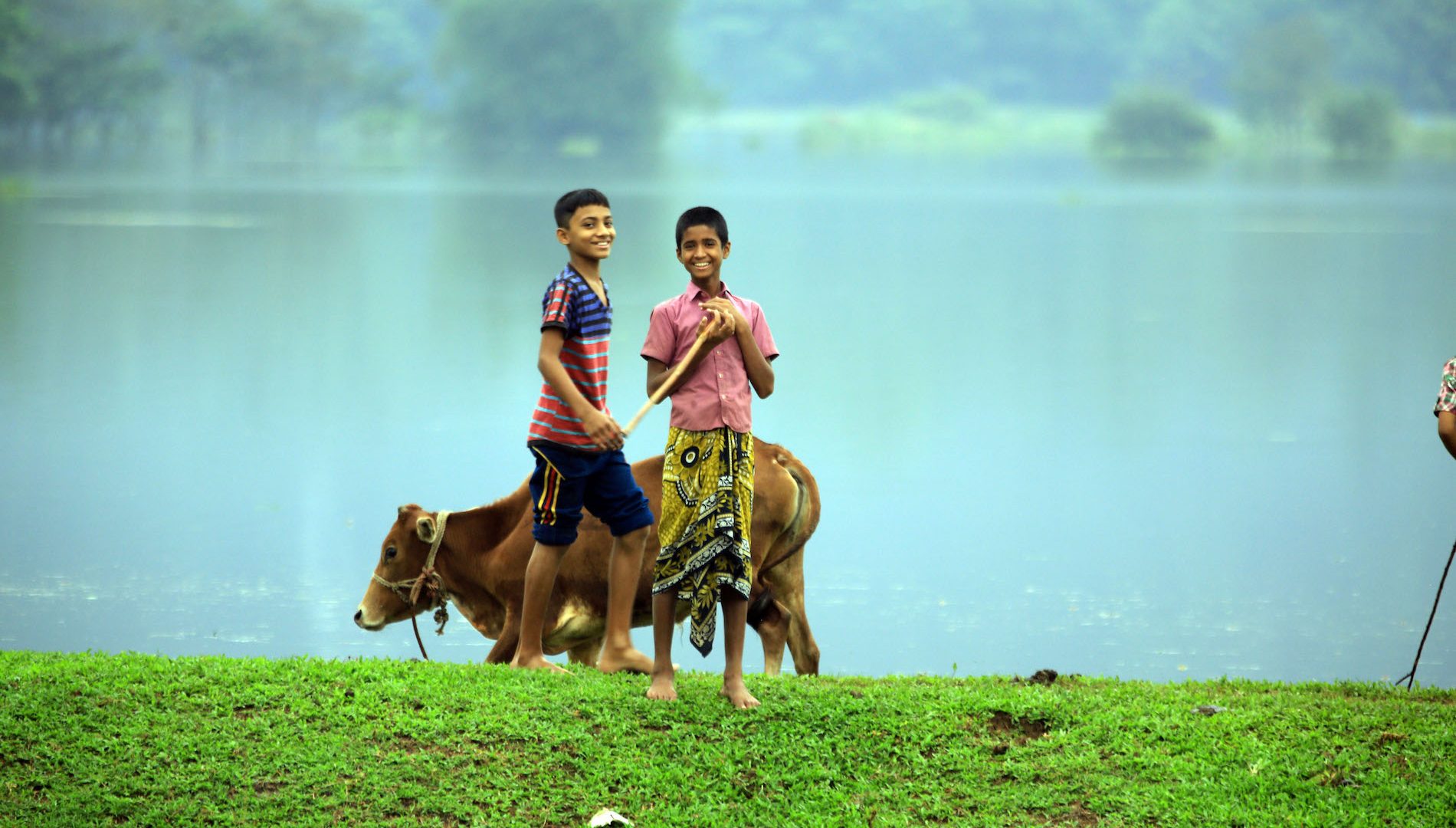 Follow Your Donation - FTD Image