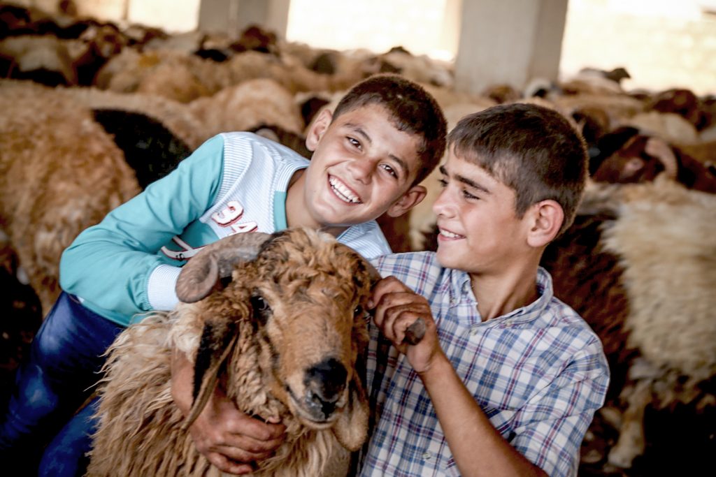 Two boys with a goat.