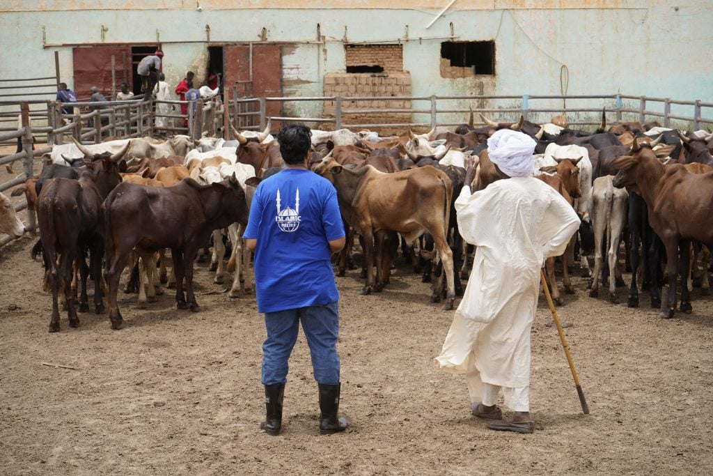 What Makes Islamic Relief Canada’s Qurbani Program Stand Out?