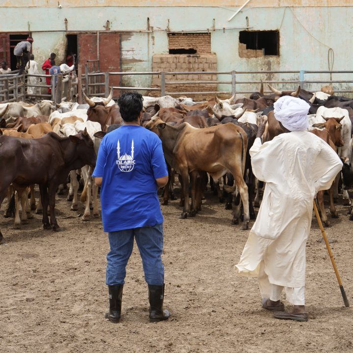 What a Relief Blog | Islamic Relief Canada