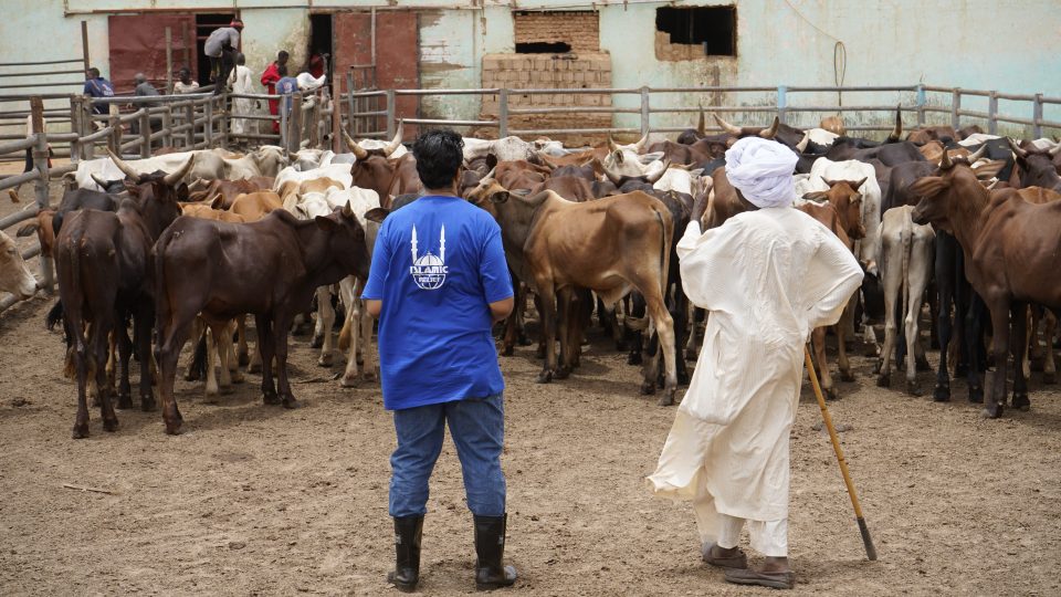 What Makes Islamic Relief Canada’s Qurbani Program Stand Out?